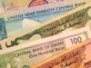 GCC banks optimistic on loan growth in 2025, report strong performance in Q2 – S&P