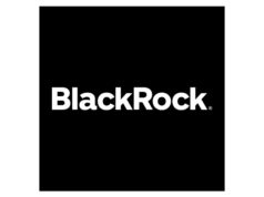 BlackRock: 2026 Global Investment & Outlook Report (including in charts)