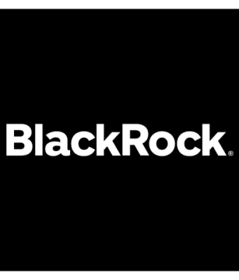 BlackRock: 2026 Global Investment & Outlook Report (including in charts)