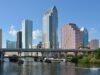 Don Glidewell, Blue Purpose CEO, Joins Tampa Bay EDC Board