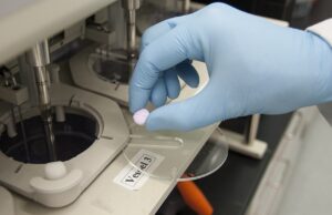 Prolynx Names Drug Discovery Veteran Amer Mirza as Chief Scientific Officer Pharmaceutical drug research laboratory