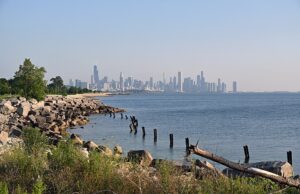 Cars.com Names Sarah Kettler Chief Marketing Officer as New CEO Hartmann Advances Marketplace Strategy Chicago skyline