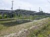 ENGIE Names Jacques Boonen Southeast Asia Country Manager and Jules Dufournier Asia Pacific Supply and Energy Management MD Solar power plant panels in a field