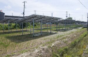 ENGIE Names Jacques Boonen Southeast Asia Country Manager and Jules Dufournier Asia Pacific Supply and Energy Management MD Solar power plant panels in a field