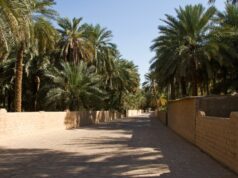 Al Ain Future Business Forum set for ADNEC Centre Al Ain, 23 to 24 September, inaugural ADDED investment forum ADNEC Centre Al Ain, Al Ain