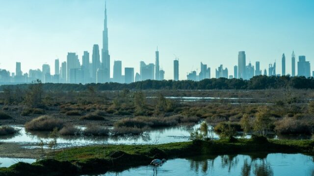 Dubai skyline seen across Ras Al Khor