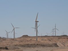 Egypt Energy 2026 Set for Cairo, 12 to 14 October, with a Leadership Summit for the Power Sector Wind turbines at Zaafarana on the Gulf of Suez, Egypt