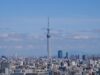 Cross River Parent CRB Group Agrees Japan Joint Venture With SBI Holdings Tokyo skyline with the Tokyo Skytree under a clear sky