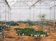 Iberflora 2026 Set for Feria Valencia, 6 to 8 October, for Its 55th Edition