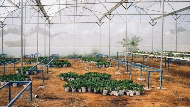 iberflora-event-700x394-1